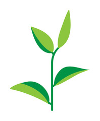 Herb, green tea icon. Element of herb icon for mobile concept and web apps. Detailed Herb, green tea icon can be used for web and mobile on white background