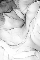 Marble ink abstract art from exquisite original painting for abstract background . Painting was painted on high quality paper texture to create smooth marble background pattern of ombre alcohol ink . © InfiniteFlow