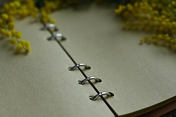 Fototapeta premium empty pages of an open notepad with yellow sprigs of mimosa flowers. concept of business woman, romance, spring still life