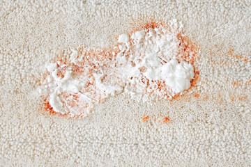 Cleaning a white carpet indoors. closeup.