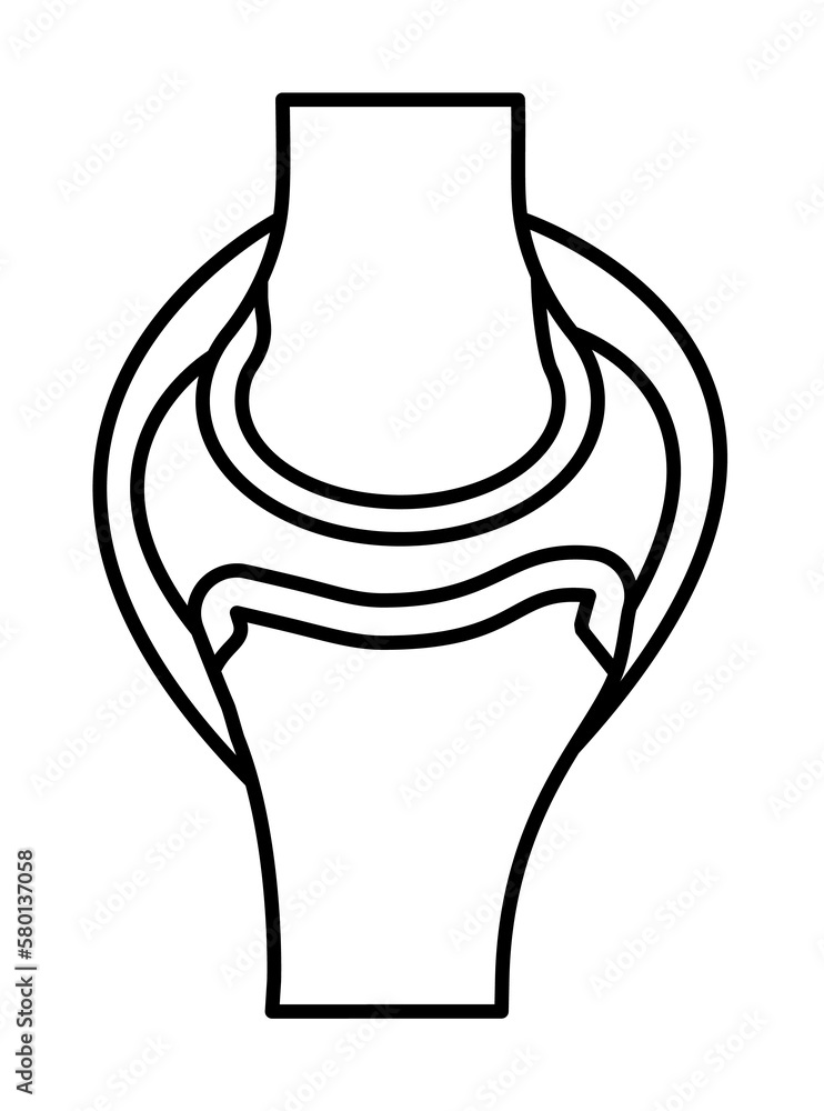 Poster bones cartilage joints ligament icon. simple line outline orthopedics icons for ui and ux website or