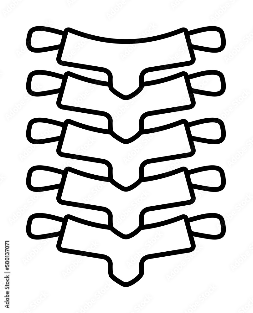 Poster anatomy backbone spine icon. simple line outline orthopedics icons for ui and ux website or mobile a