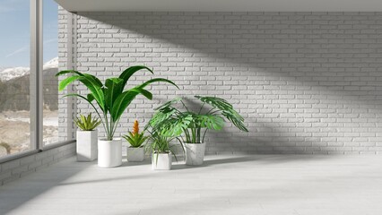 Empty room with blank white brick wall, white wooden floor and beautiful indoor plants in pots in sunlight through the window. 3D render for interior design background