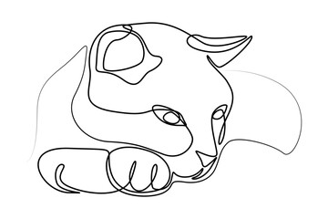 Linear drawing of a cat, vector illustration isolated from the background. Contour cat muzzle. Kitty