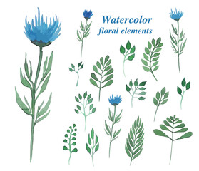 Blue flower collection, watercolor illustration