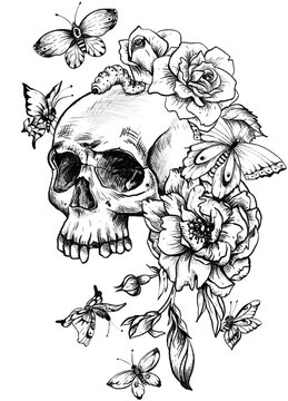 Skull with Flowers isolated transparent PNG