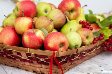 Basket with red ripe apples. Apple harvest