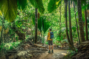Man exploring a tropical rainforest