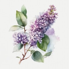 Branch of lilac with purple flowers and green leaves. Watercolor illustration of a beautiful lilac. Generative AI art.