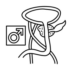 Prostate gland male icon. Simple line, outline of urology icons for ui and ux, website or mobile application on white background