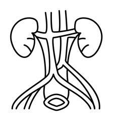 Kidney and adrenal glands icon. Simple line, outline of urology icons for ui and ux, website or mobile application on white background