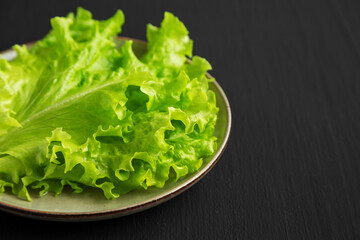 Raw Green Leaf Lettuce on a Plate, low angle view. Close-up.