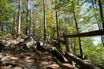 Dovbush path - route through wooded mountain slopes near Yaremche, Ukraine