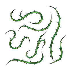 Shape of sharp liana vines. Jungle thorn branch. Forest twisted tropical wood. Collection of Natural decorative illustration isolated on white. © Taras