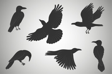 Black ravens set. Crow vector art. Flying birds vector illustration, flat style.