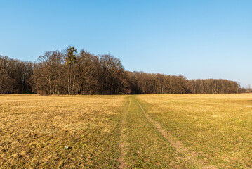 Early springtime meadow with forest around and clear sky above in CHKO Poodri in Czech republic