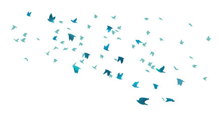 Blue birds flying flock. Vector illustration