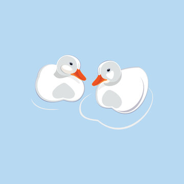 White duck isolated on blue. Vector illustration.