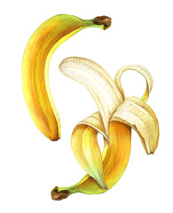 Set of ripe bananas isolated on transparent background, PNG. Watercolor illustration.
