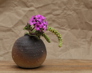 Flora of Gran Canaria - magenta flowers of Pericallis webbii, endemic to the island