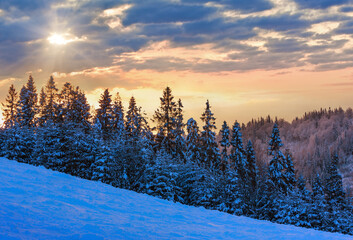 Winter Ukrainian Carpathian Mountains landscape.