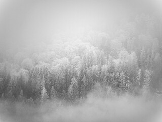 Fototapeta na wymiar winter landscape in bucegi national park, romania 