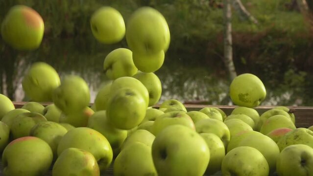 Delicious green apples are falling down outdoors on the background of the lake 