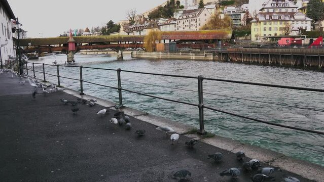 Tauben fliegen vor der Spreuerbr&uuml;cke in Luzern, Switzerland