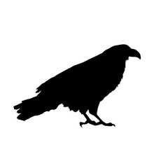 raven, crown silhouette - isolated - vector illustration