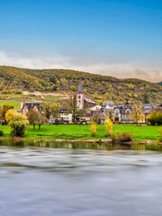 Obraz premium Bruttig-Fankel village on moselle river and vineyards during autumna in Cochem-Zell, Germany
