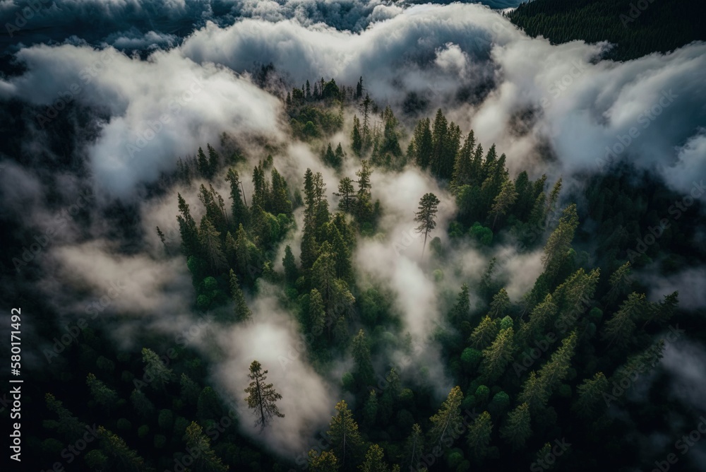 Poster Clouds float vertically over the trees in this aerial view. Generative AI