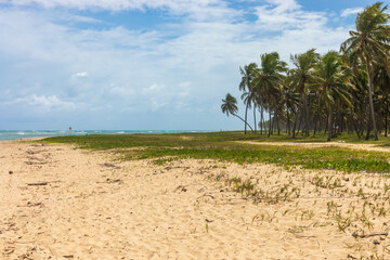 Gunga beach sandbar view
