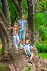 children playing on a tree in the park