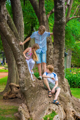 children playing on a tree in the park