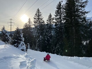 Fototapeta na wymiar Winter atmosphere on the toboggan run Scharmoin-Canols (Schlittelweg Scharmoin-Canols in der Lenzerheide) in a picturesque Swiss alpine winter resort Lenzerheide - Canton of Grisons, Switzerland