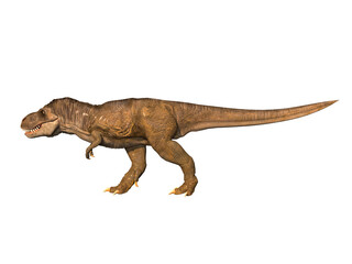 Naklejka premium tyrannosaurus rex