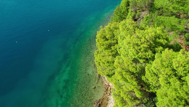 Pine trees forest on a rocky coast of Ionian sea, Ithaki island, Greece