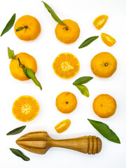 Orange fruit with green leaves on the white background. Home gardening. Mandarine oranges. Tangerine oranges. Orange color. Fresh orange juice.