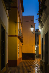 Fototapeta na wymiar scenic alley in the old town of Seville, Spain, at night