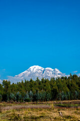 chimborazo visto desde carretera con cielo nublado y arboles 