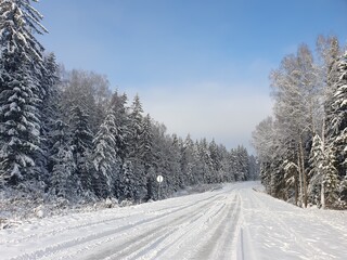 Fototapeta premium Automobile road through winter forest covered with snow