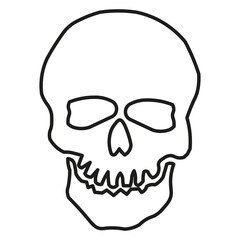 skull head design as halloween illustration, creepy vector with transparent background, dark illustration for halloween