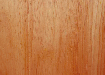 Naklejka premium Closeup of wood texture background for design, wooden backdrop in concept decorative objects.