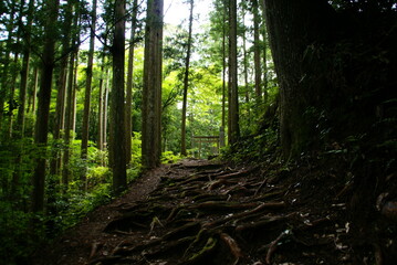 熊野古道・発心門王子