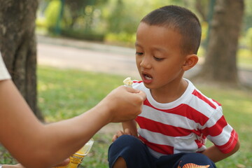 The boy ate ice cream that his mother gave him.