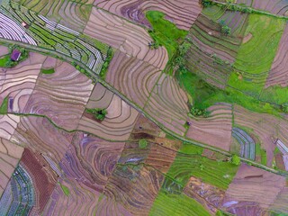 natural scenery of Indonesia with beautiful and winding terraced rice field patterns on the slopes of the mountains