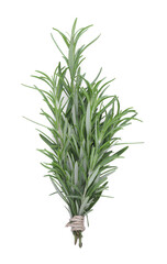 Fresh rosemary twigs tied with twine isolated on white