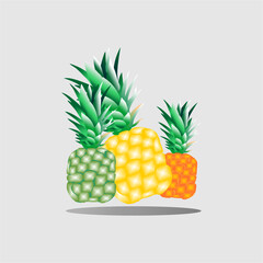 Pineapple vector illustration complete set on white background. Exotic tropical fruit. Sketch. Graphic arts. Perfect for invitations, greeting cards, posters.