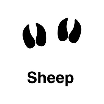  Sheep foot print, vector icon illustration, animal paw print isolated on white background.eps