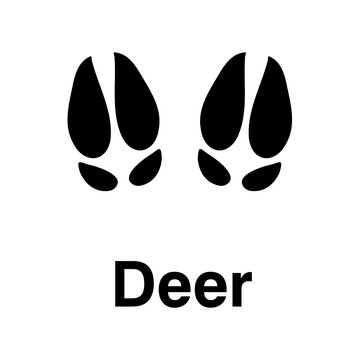 Deer foot print, vector icon illustration, animal paw print isolated on white background.eps